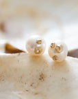 Hannah Blount Jewelry Pearl Ruthie B. Studs with Barnacles in 14k gold