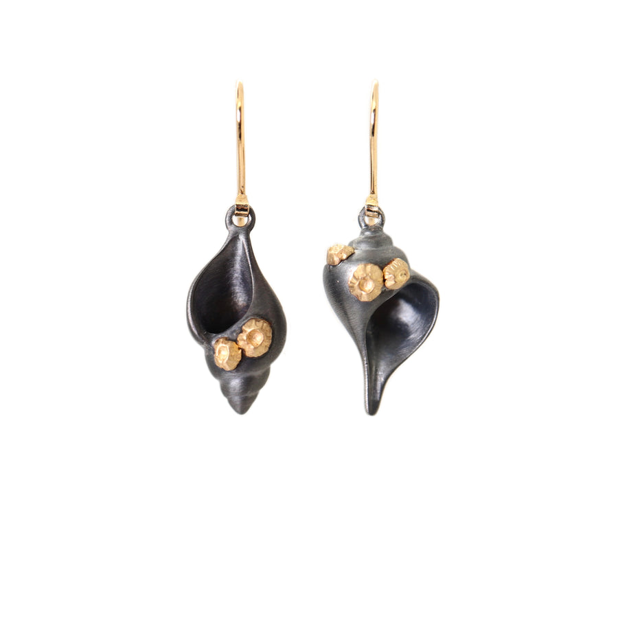 tulip and whelk spiral shells in black silver are adorned with gold barnacles and gold ear wires in handmade earrings