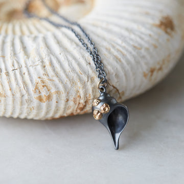 black whelk shell pendant with gold barnacles on chain