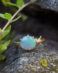 Lightning Ridge Opal Milkweed Beetle Vanity Ring with Diamond seated on rock by Hannah Blount Jewelry