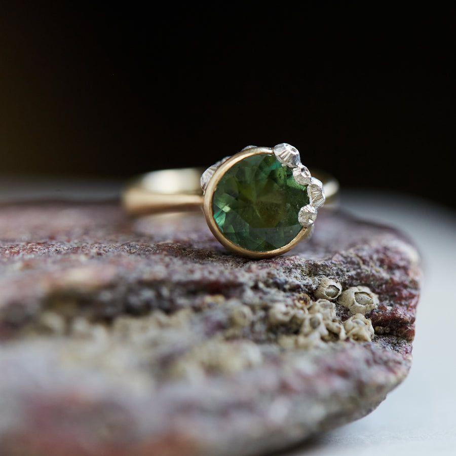 A 2.74ct tourmaline ring. The tourmaline is a deep green and is set in 14k gold with a 14k gold band. The setting is encrusted with bright sterling silver barnacles. The ring is viewed from the front and sits on a stone. 