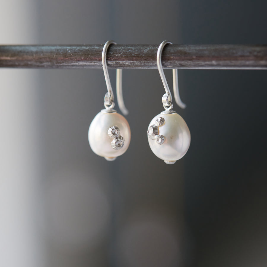 white pearl drop earrings hanging from a steel bar. The barnacles and ear wires are bright sterling silver.